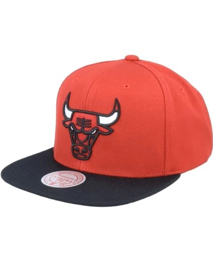Gorra NBA Team 2 Tone 2.0 Stretch Chicago Bulls