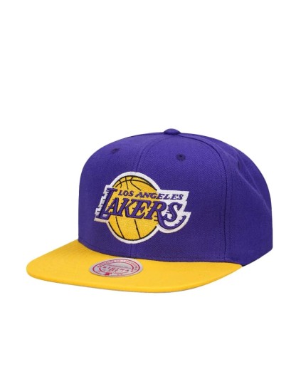 Gorra NBA Team 2 Tone 2.0 Stretch Los Angeles Lakers